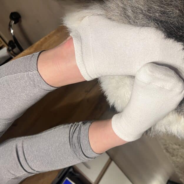 SexySocks39