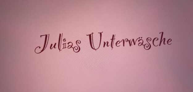 Julias Unterwäsche 🎀